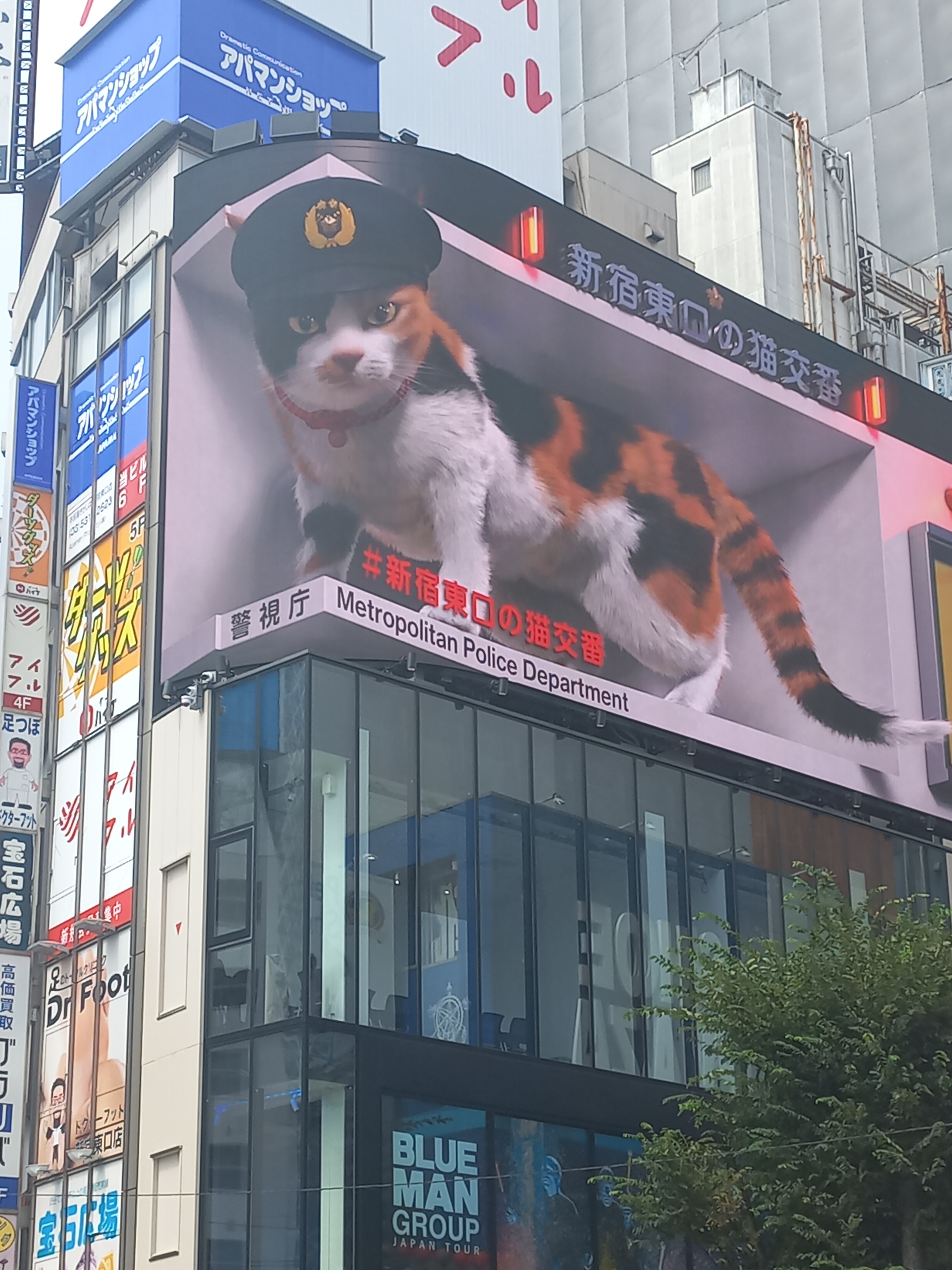 도쿄:1부 도쿄:1부 