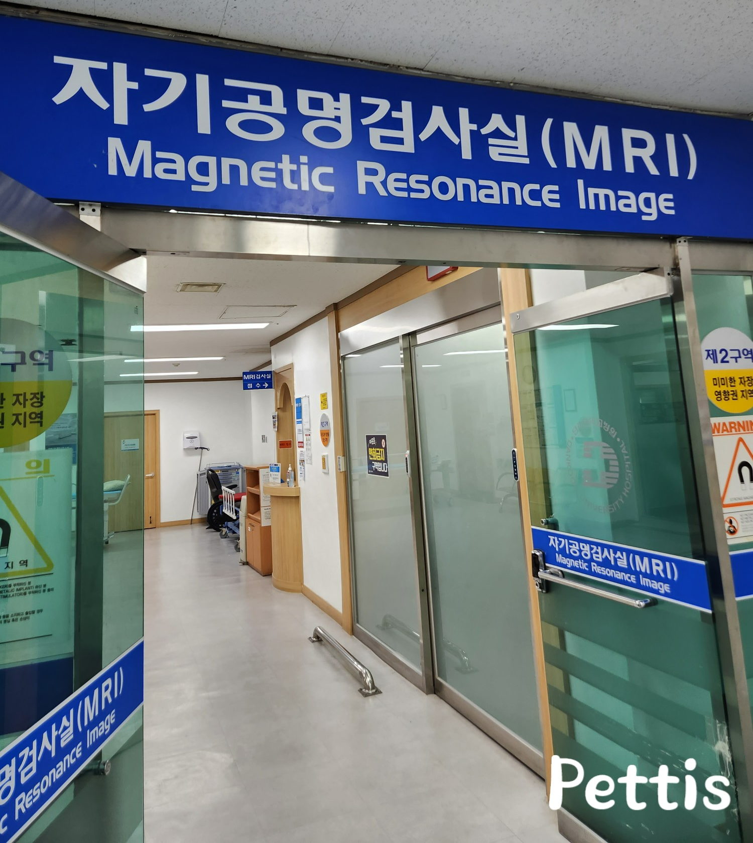 콜롬비아에서 한국으로 돌아온 이후