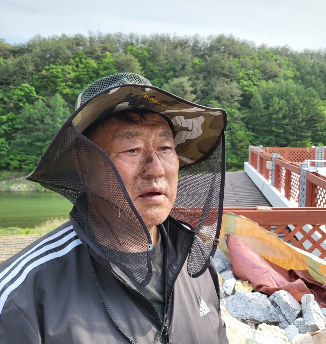 한줄기 이미지