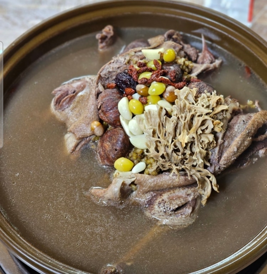 산들애 이미지