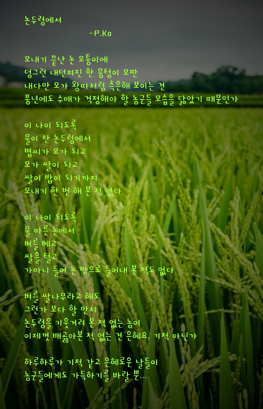 논두렁에서