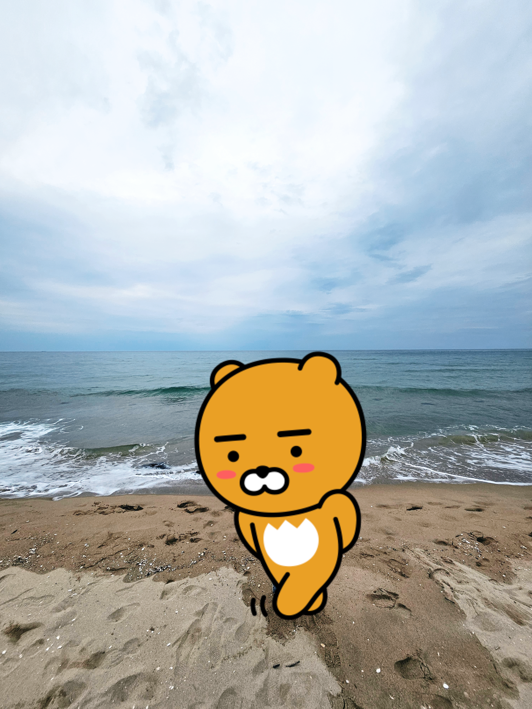 양양79 이미지