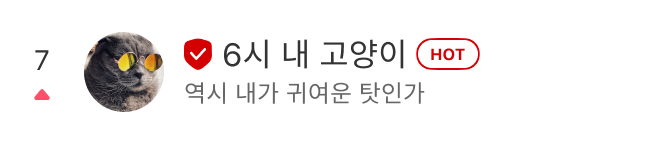 7. (HOT)6시 내 고양이 - 역시 내가 귀여운 탓인가