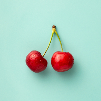 테이블 소개 이미지