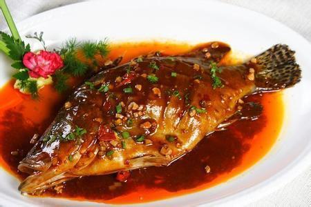 쏘가리 (소)