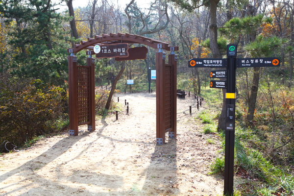 바다바라길 이미지