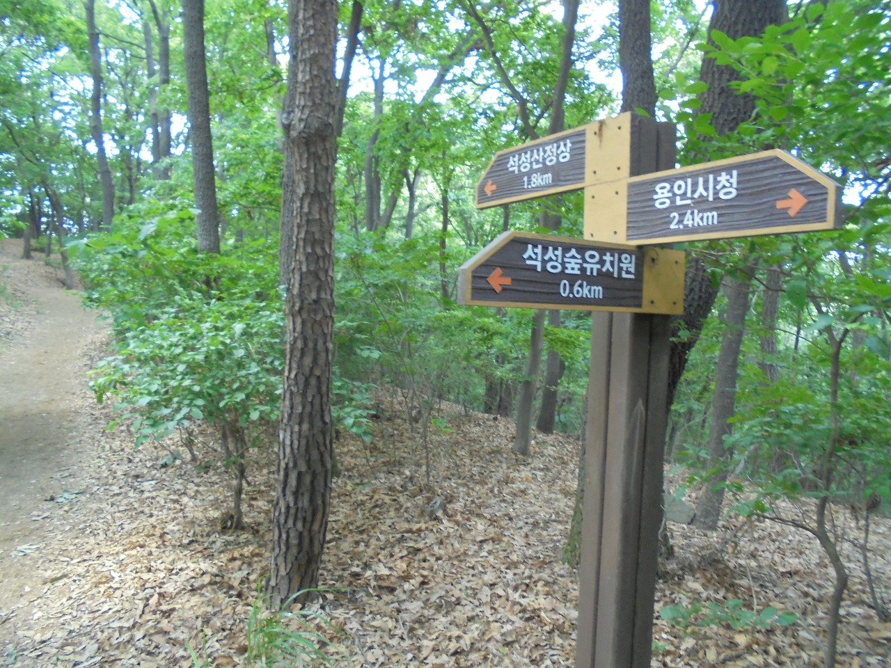 석성숲유치원 이미지