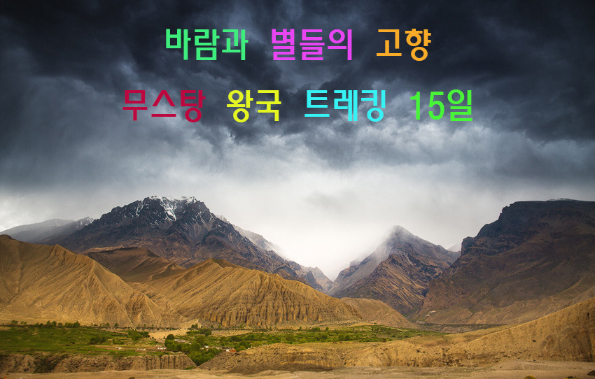 Daum 카페
