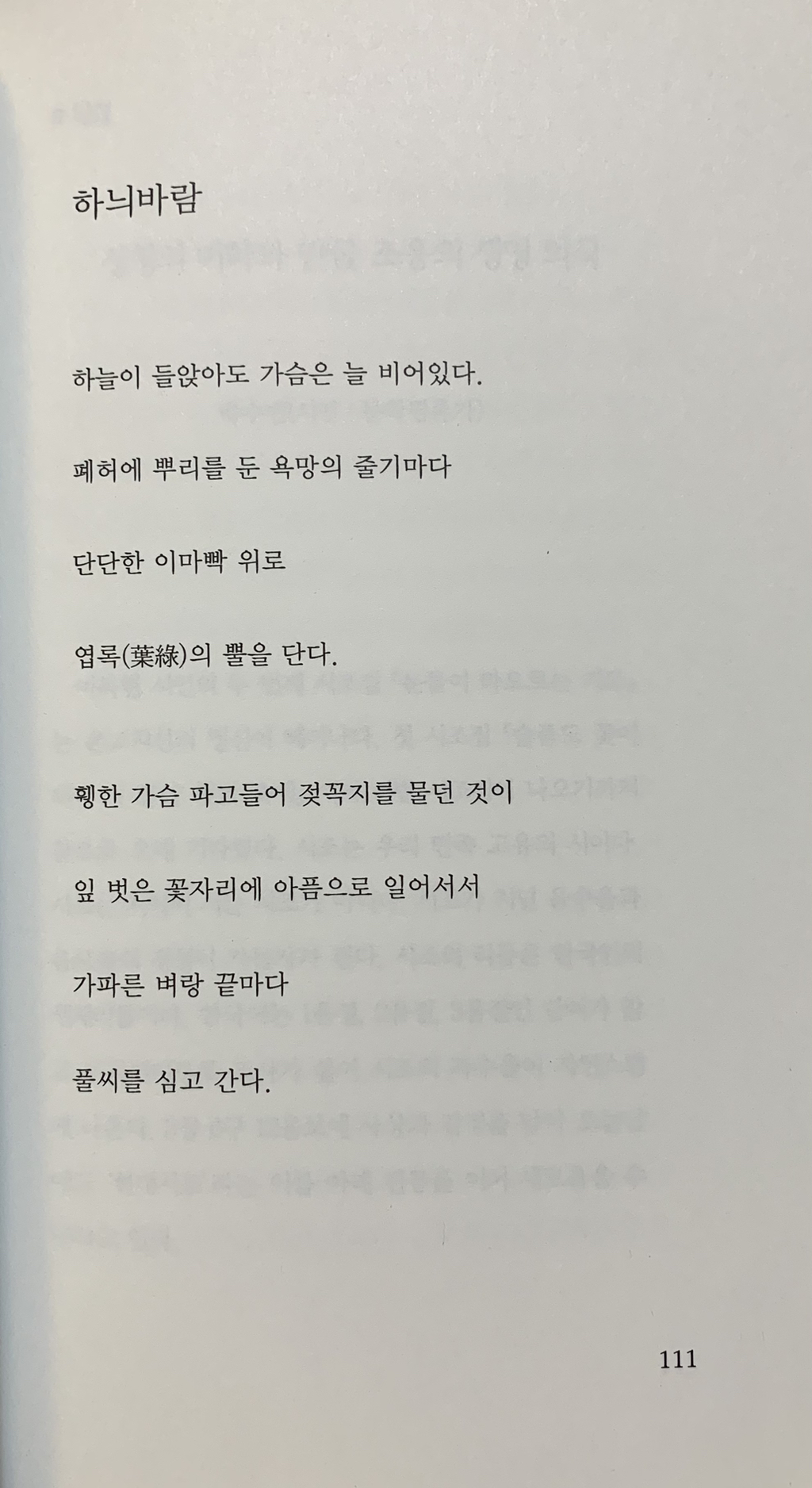 Daum 카페