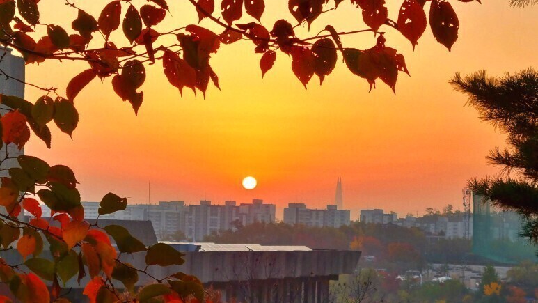 서울이수초등학교 이미지