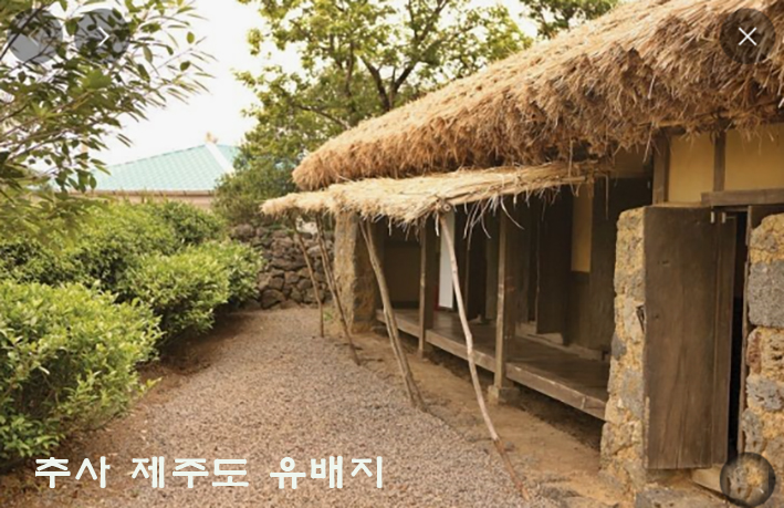 초목 이미지
