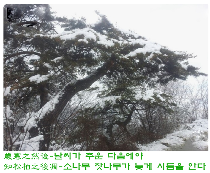 초목 이미지