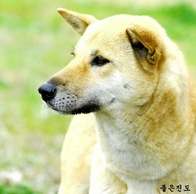 연이가 이미지