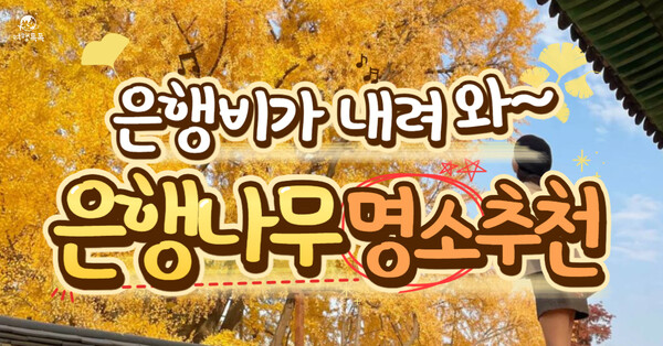 (주)여행과나무 이미지