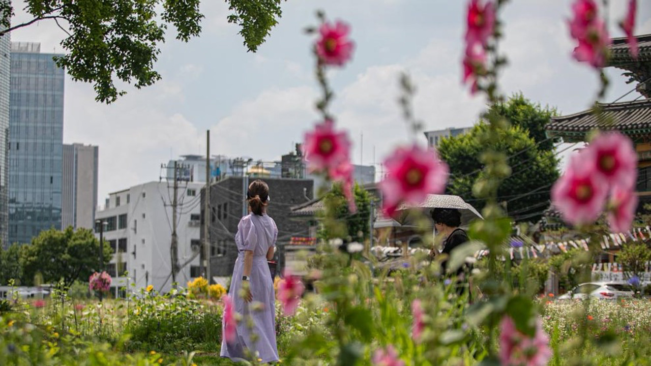 송현공원 이미지
