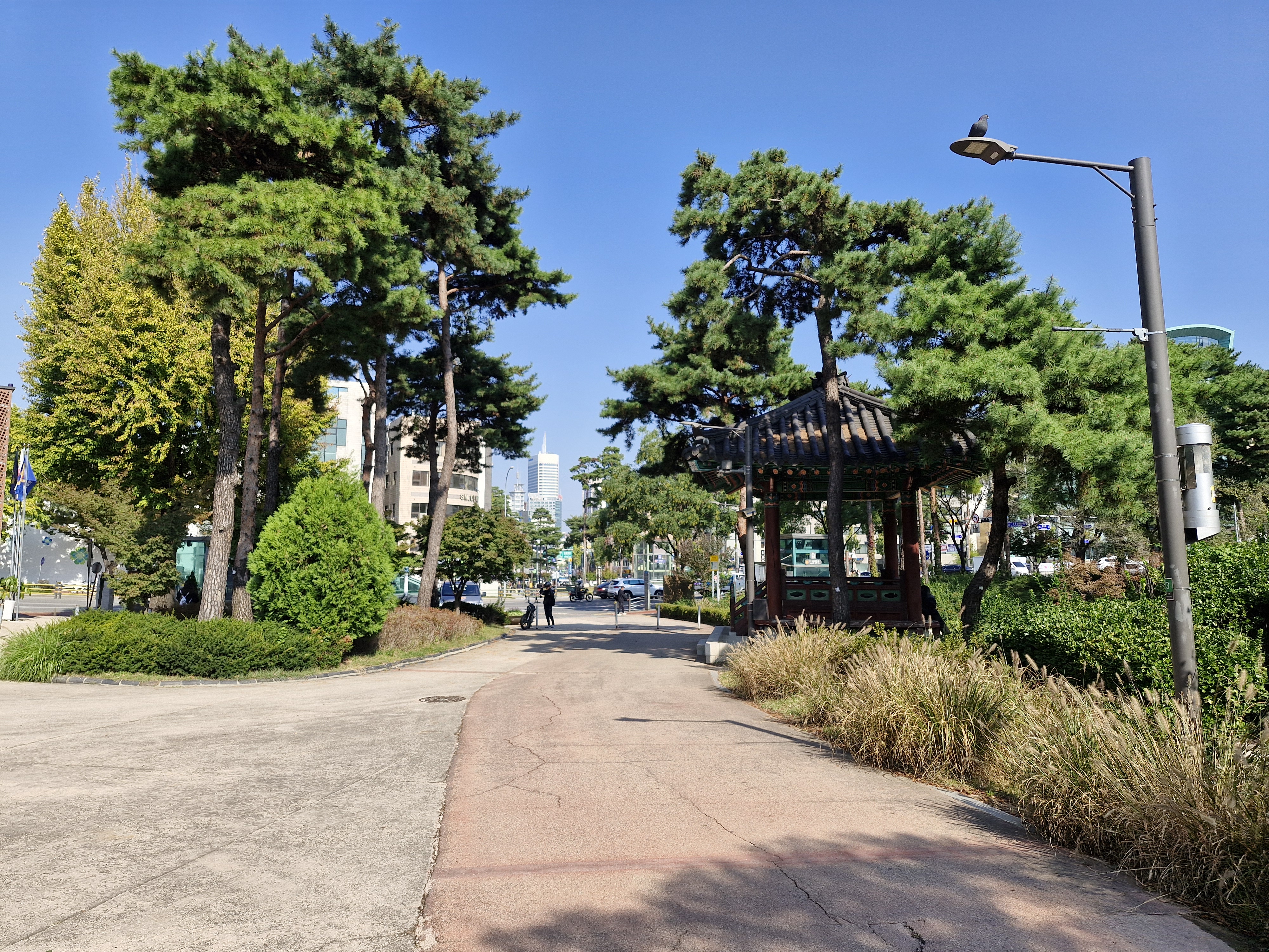 장충동족발 이미지