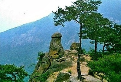 대자연 이미지