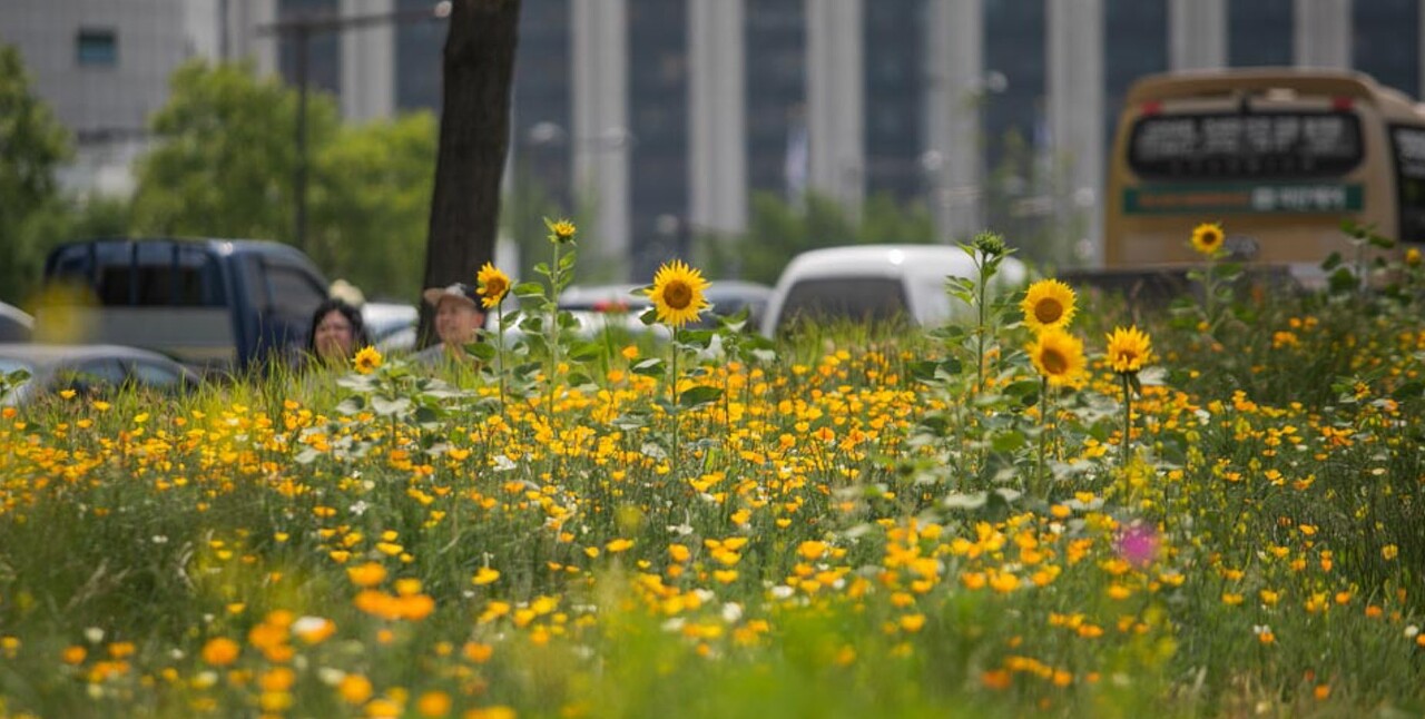 송현공원 이미지