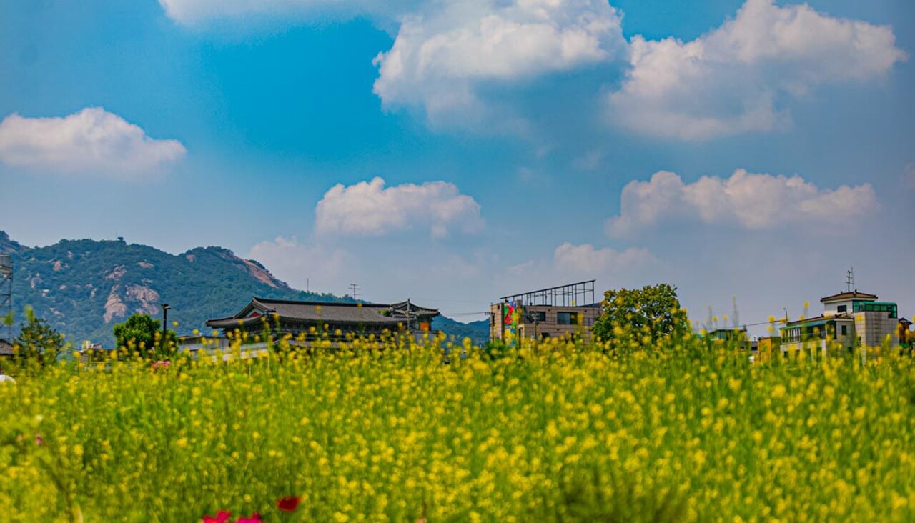 송현공원 이미지