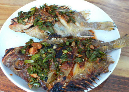 여객선식당 이미지