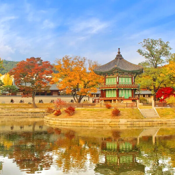 숨은나무 사진 2