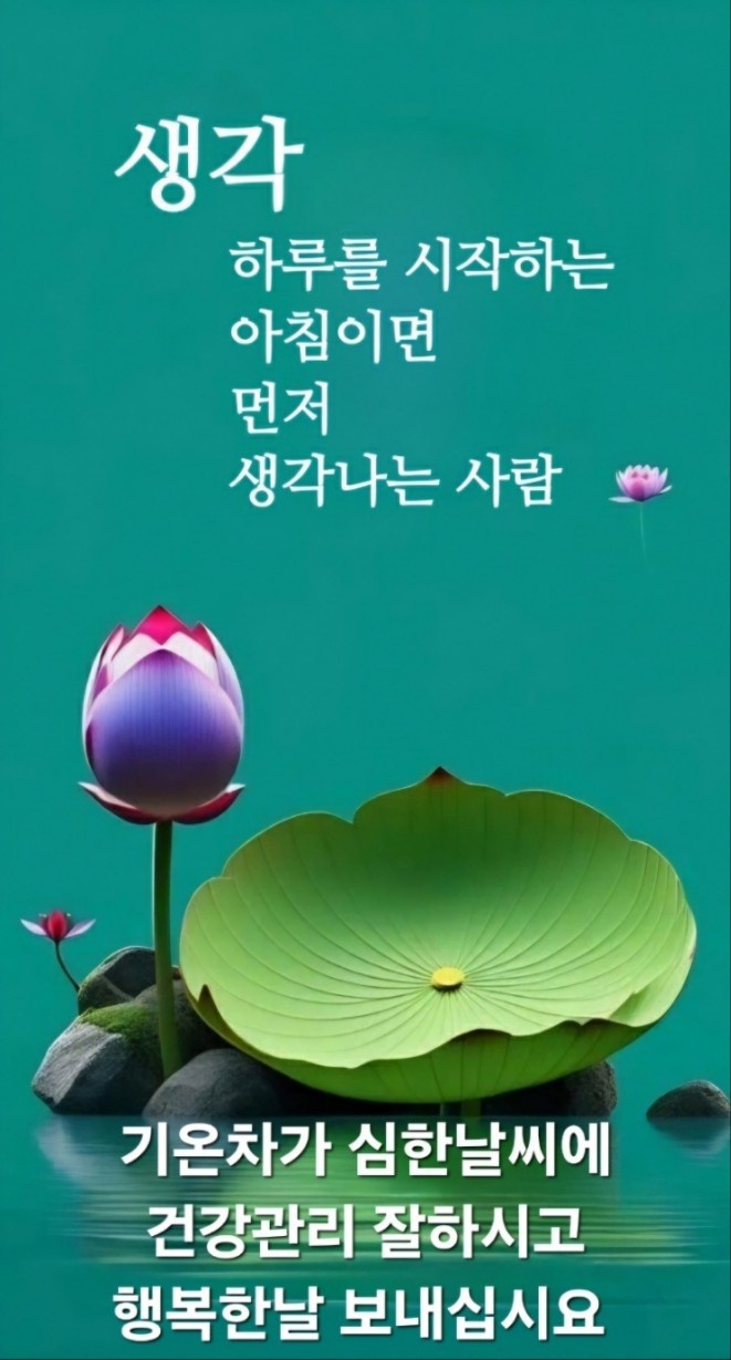 묘한하루 이미지