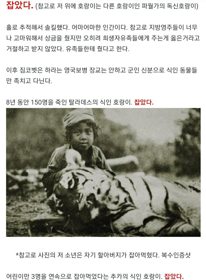 짐 이미지