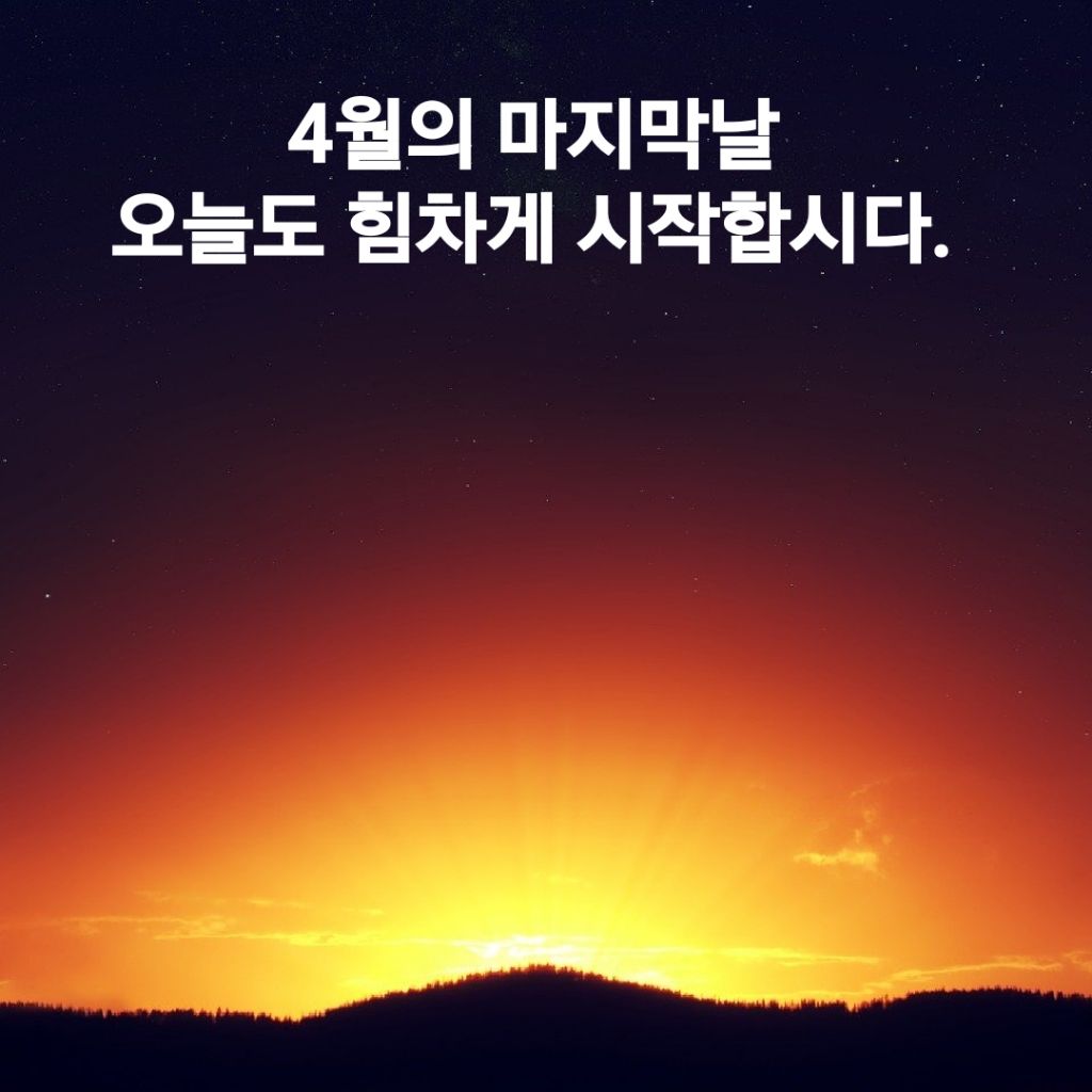 힘내시게 이미지