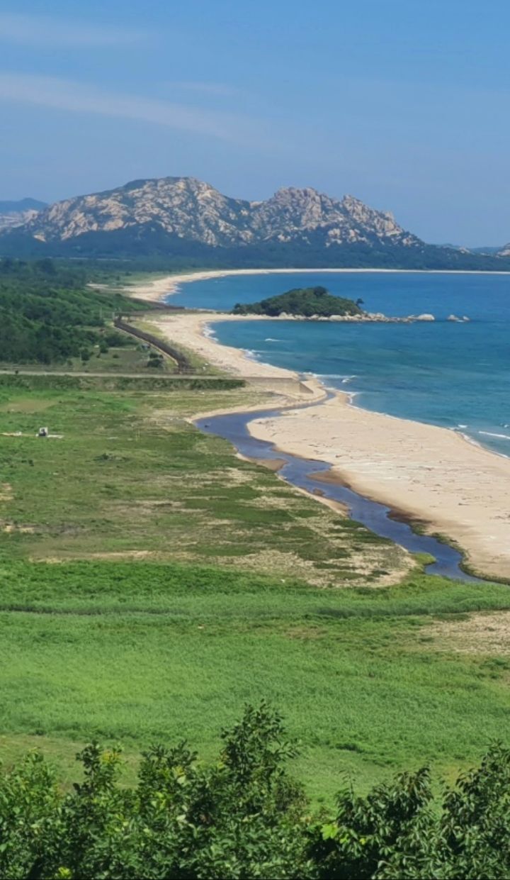 동경사 이미지