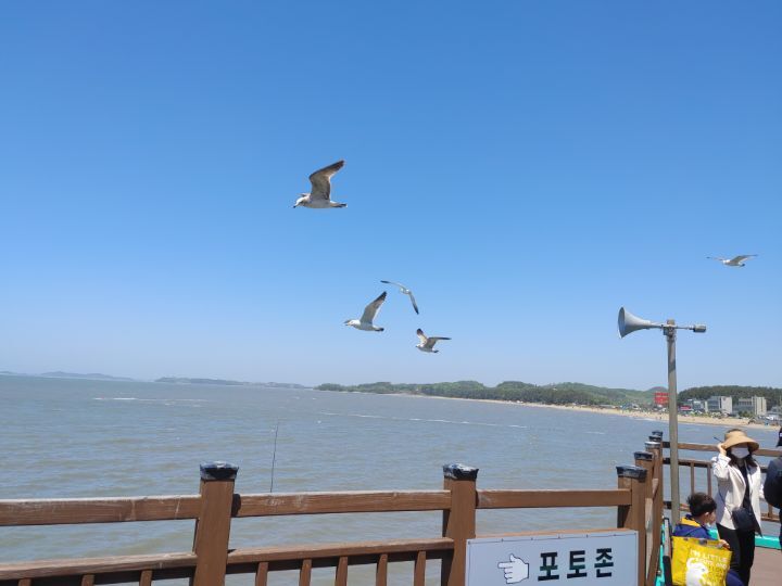 오월오일 이미지