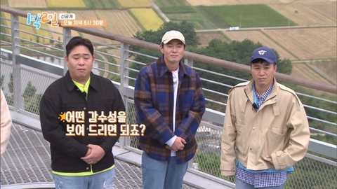 시스템옴므 이미지