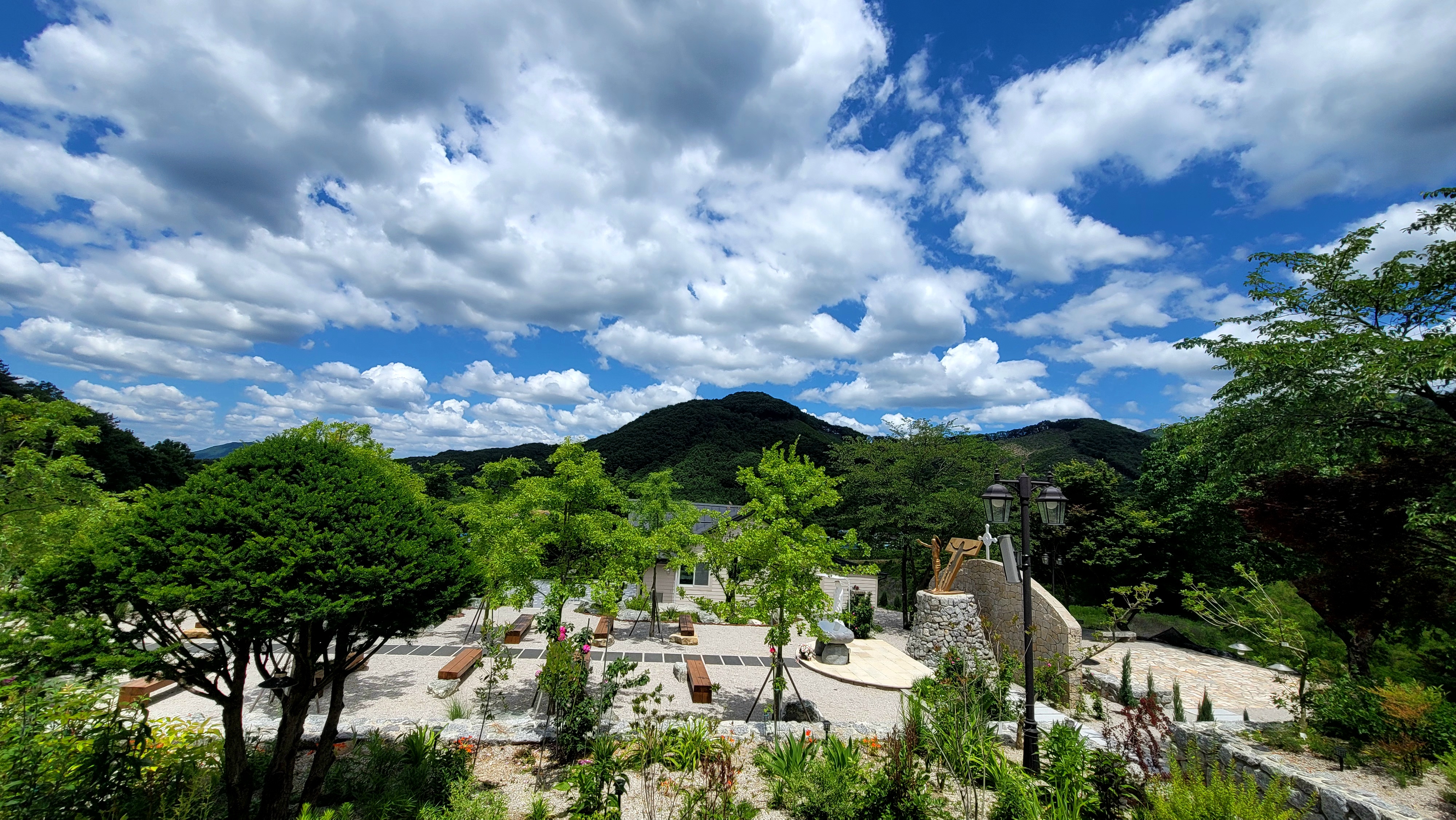 선택21 이미지