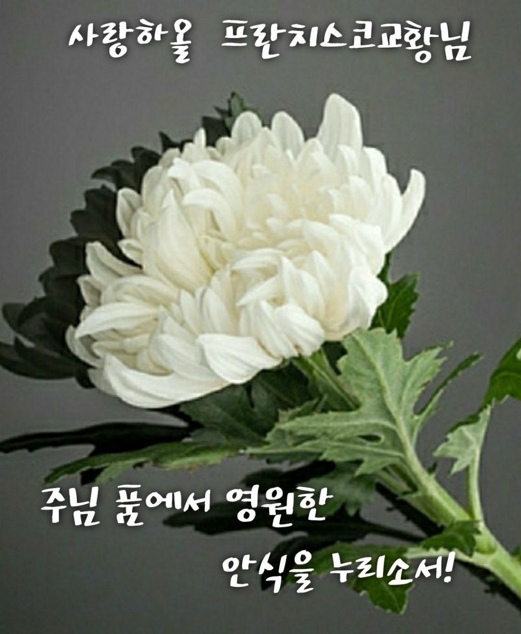 평화사 이미지