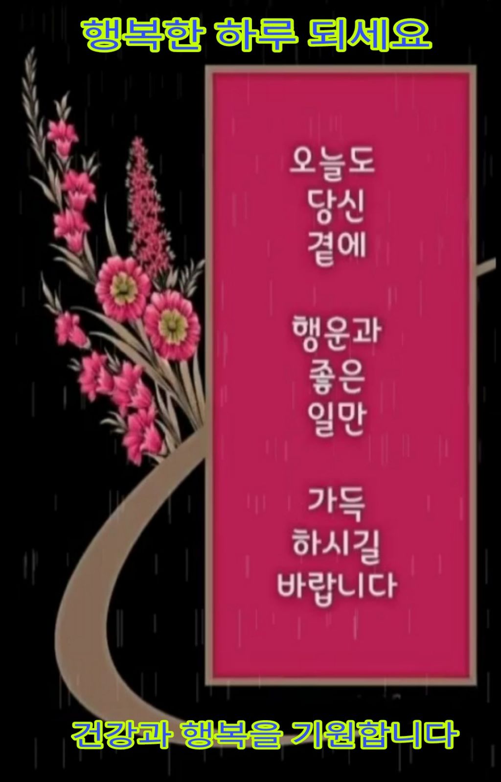 오분 이미지