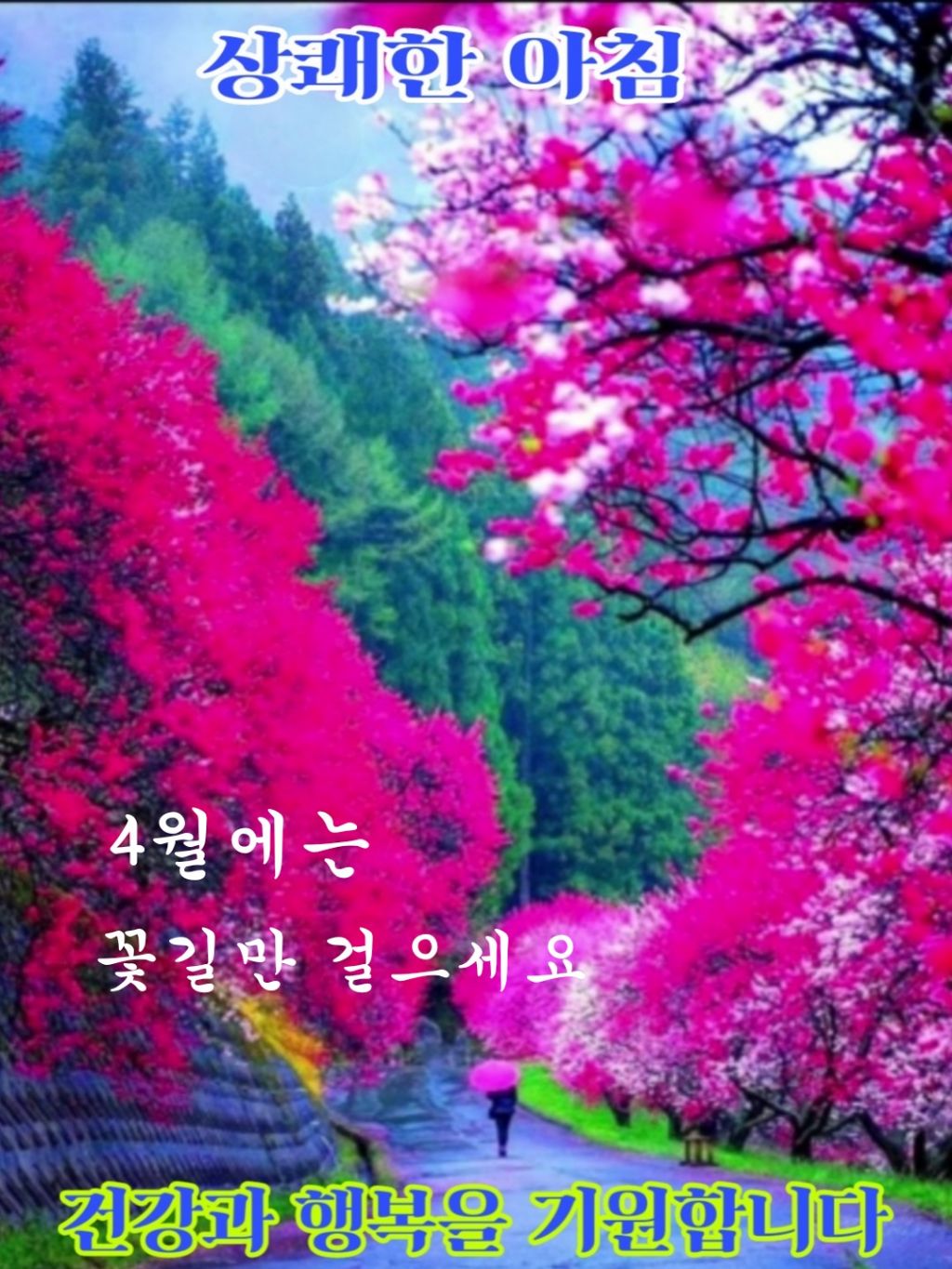 꽃길만걷자 이미지