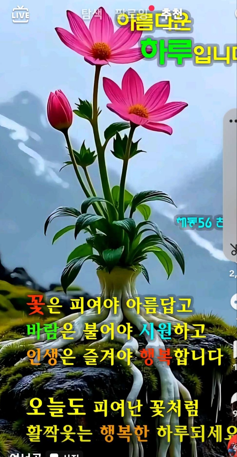 오분 이미지