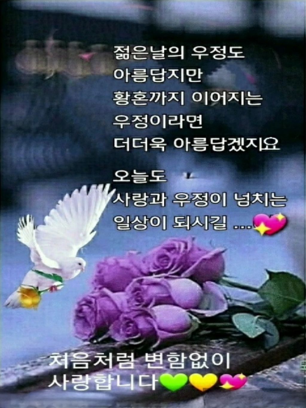 오분 이미지