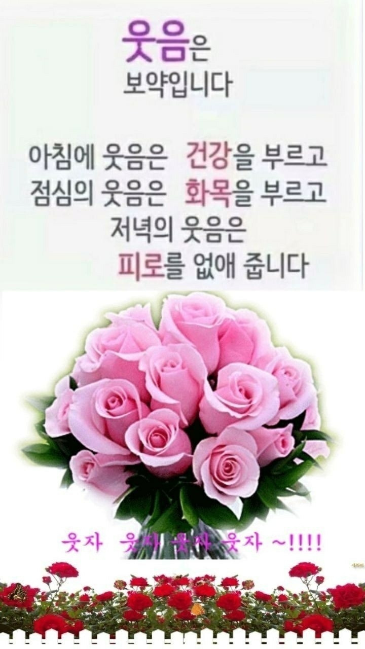 유담채 이미지