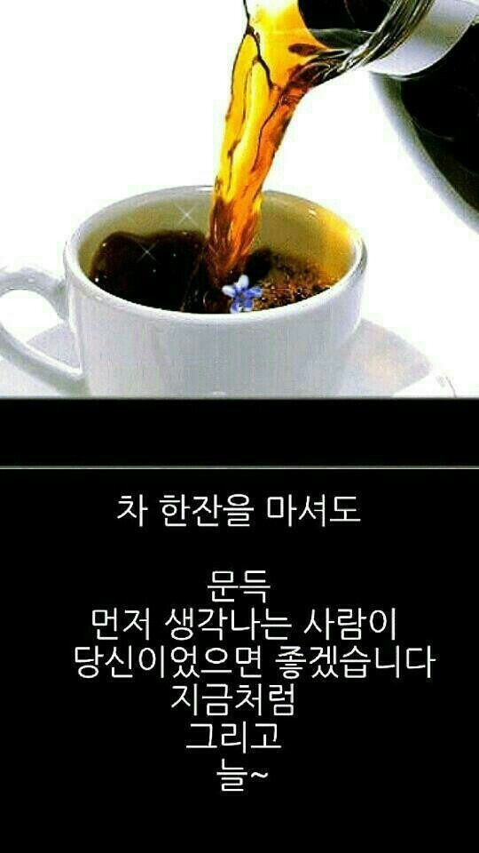 차한잔드세요 이미지