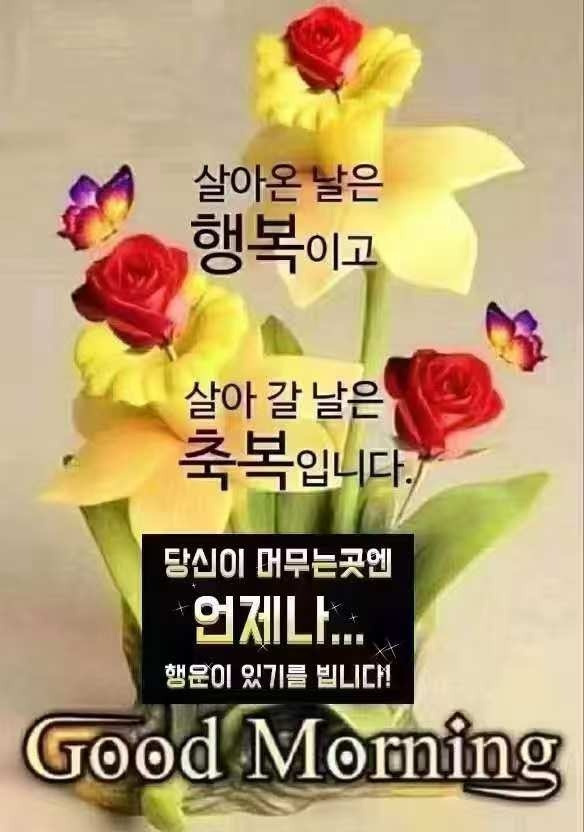 토요일 이미지