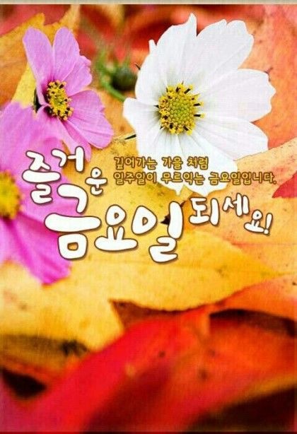브이원커피 이미지