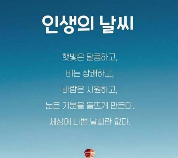 엉아네 이미지