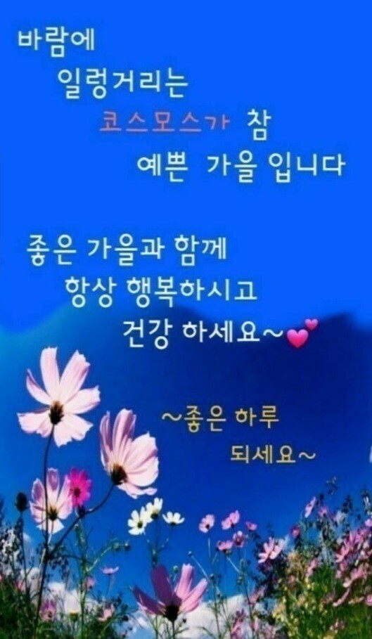 전박사 이미지