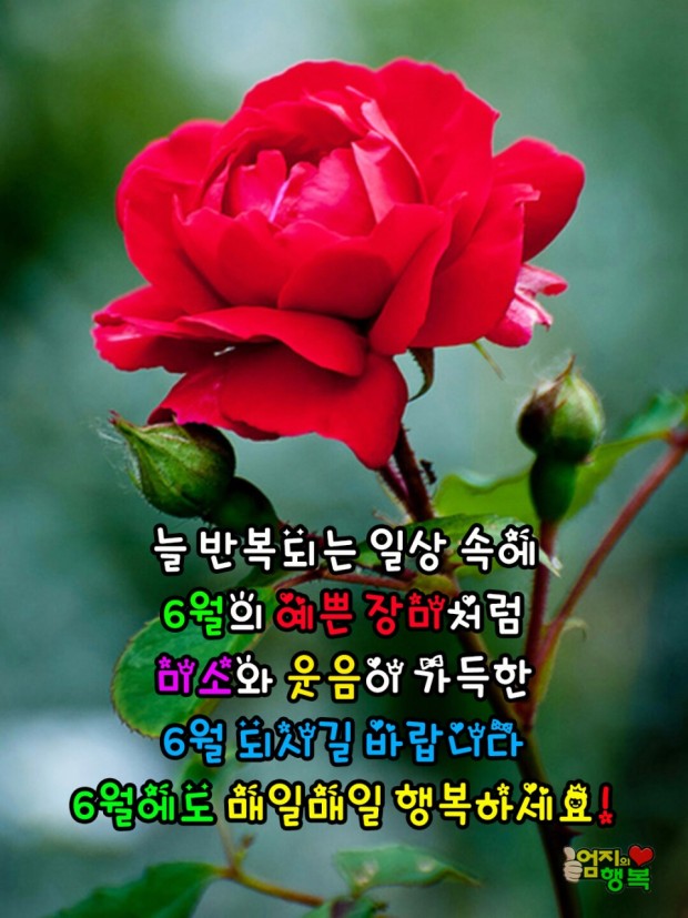 이지싸인 이미지