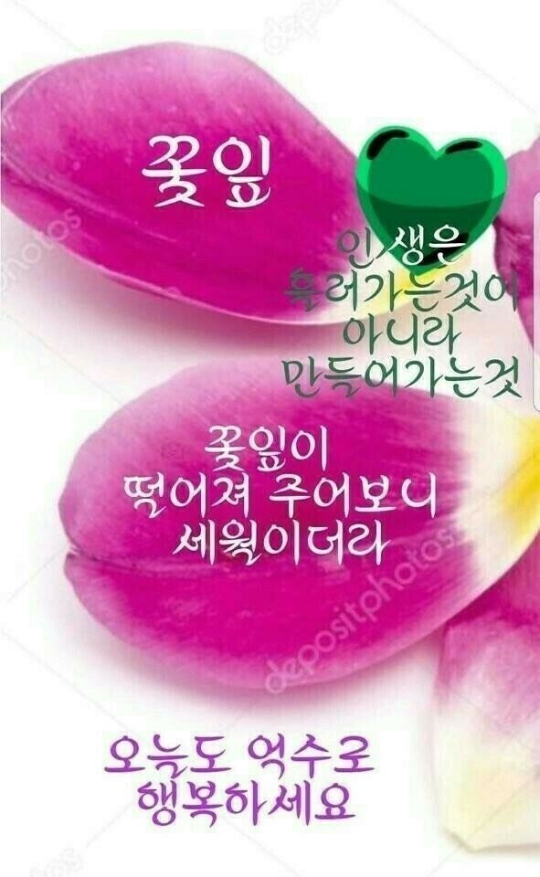 MORO 라이브 이미지