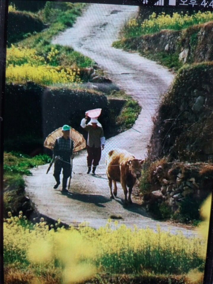 고향아줌마보리밥 이미지
