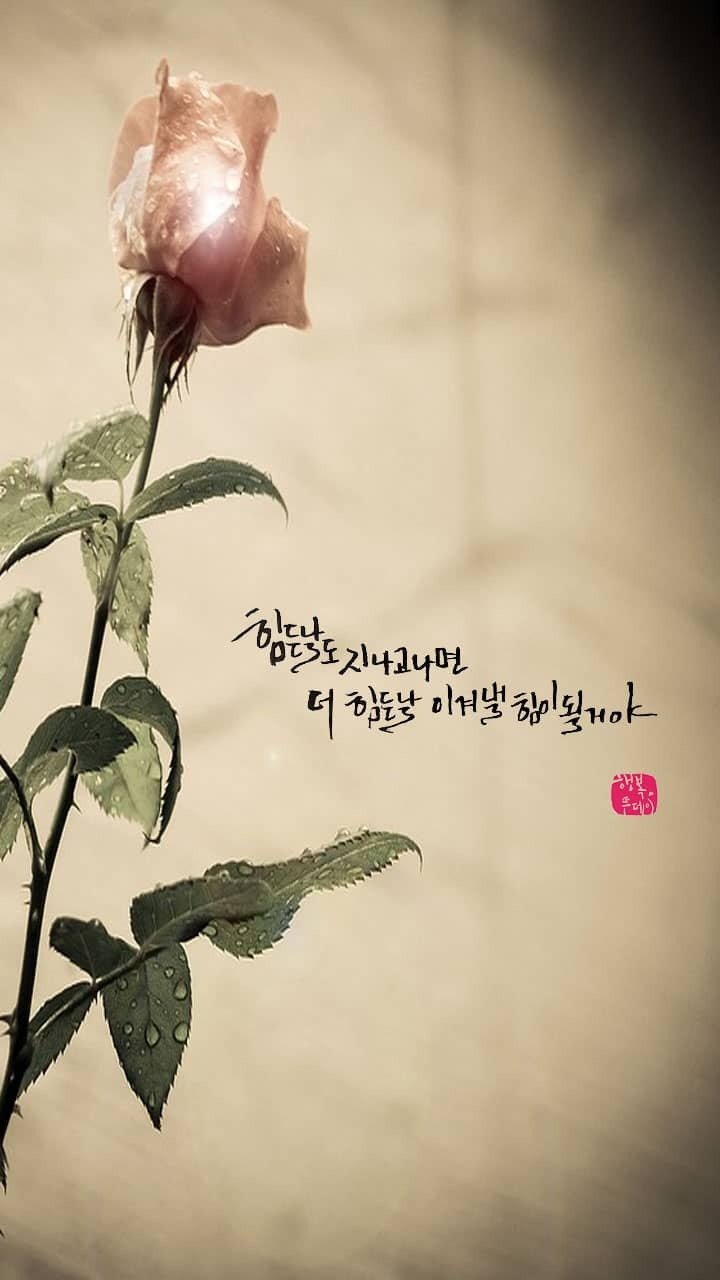 꽁이 이미지