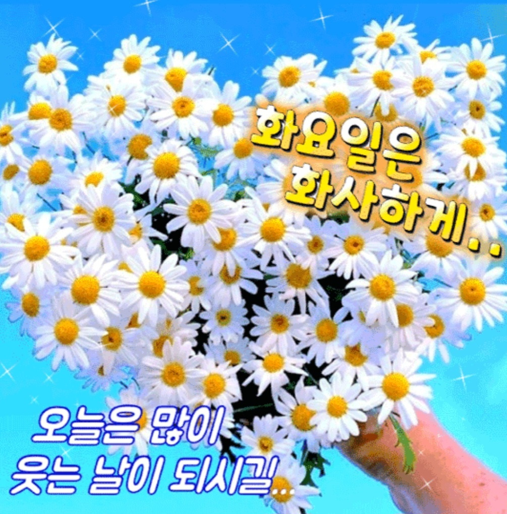 오늘동안 이미지