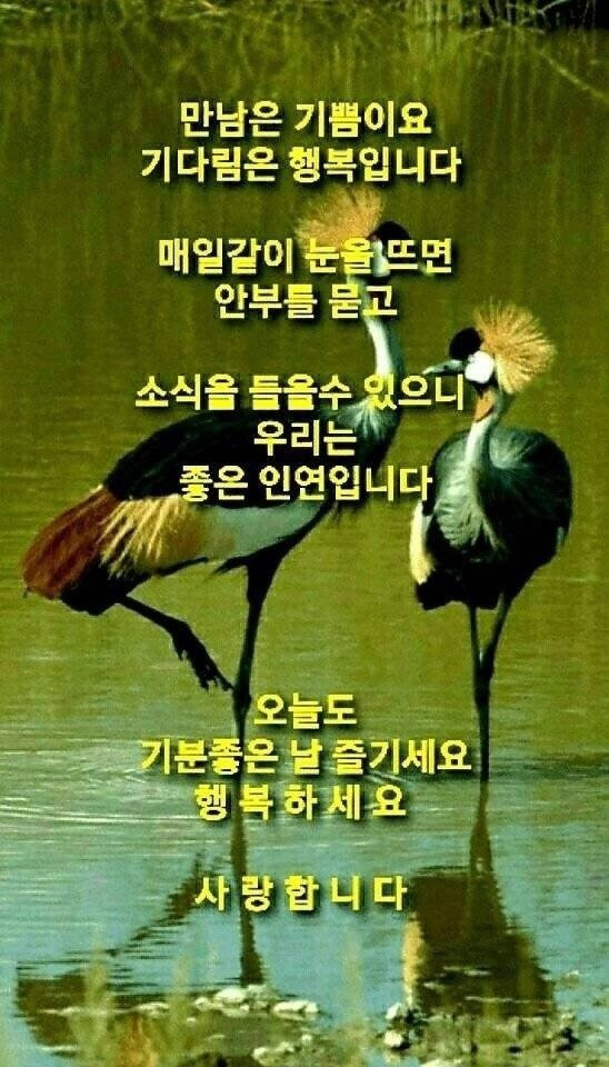 달빛노래샵 이미지
