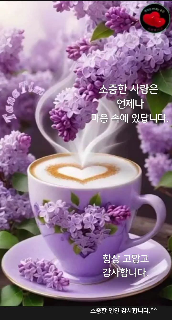 차한잔드세요 이미지